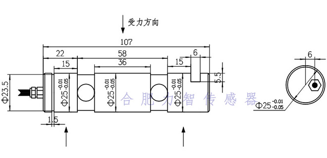 LZ-ZXF25轴销传感器(图1)